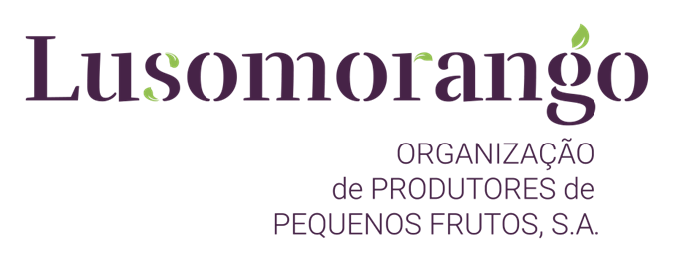 Logo 20